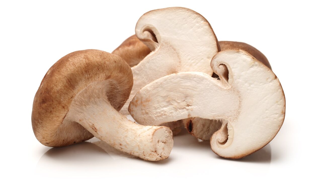 Wooden capsules in Shietake mushrooms